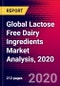 Global Lactose Free Dairy Ingredients Market Analysis, 2020 - Product Thumbnail Image