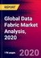 Global Data Fabric Market Analysis, 2020 - Product Thumbnail Image
