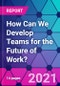 How Can We Develop Teams for the Future of Work? - Product Thumbnail Image
