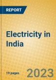 Electricity in India: ISIC 401- Product Image