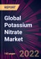 Global Potassium Nitrate Market 2023-2027 - Product Image