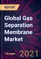 Global Gas Separation Membrane Market 2021-2025 - Product Thumbnail Image