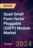 Quad Small Form-factor Pluggable (QSFP) Module Market 2024-2028- Product Image