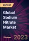 Global Sodium Nitrate Market 2023-2027 - Product Thumbnail Image