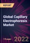 Global Capillary Electrophoresis Market 2023-2027 - Product Image