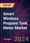 Smart Wireless Propane Tank Meter Market 2024-2028 - Product Image