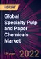 Global Specialty Pulp and Paper Chemicals Market 2022-2026 - Product Image
