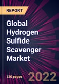 Global Hydrogen Sulfide Scavenger Market 2022-2026- Product Image