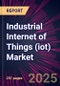 Industrial Internet of Things (iot) Market 2025-2029 - Product Image