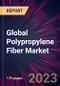 Global Polypropylene Fiber Market 2023-2027 - Product Image