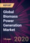Global Biomass Power Generation Market 2020-2024 - Product Thumbnail Image