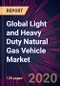 Global Light and Heavy Duty Natural Gas Vehicle Market 2020-2024 - Product Thumbnail Image