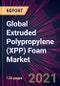 Global Extruded Polypropylene (XPP) Foam Market 2021-2025 - Product Image