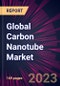 Global Carbon Nanotube Market 2021-2025 - Product Image