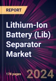Lithium-Ion Battery (Lib) Separator Market 2024-2028- Product Image