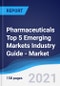 Pharmaceuticals Top 5 Emerging Markets Industry Guide - Market Summary, Competitive Analysis and Forecast to 2025 - Product Image