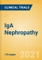IgA Nephropathy (Berger's Disease) - Global Clinical Trials Review, H2, 2021 - Product Image