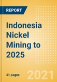 Indonesia Nickel Mining to 2025 - Analysing Reserves and Production, Assets and Projects, Demand Drivers, Key Players and Fiscal Regime including Taxes and Royalties Review- Product Image