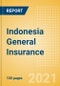 Indonesia General Insurance - Key Trends and Opportunities to 2024 - Product Thumbnail Image