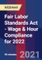 Fair Labor Standards Act - Wage & Hour Compliance for 2022 - Webinar (Recorded) - Product Thumbnail Image