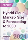 Hybrid Cloud Market- Size & Forecasting to 2030- Product Image