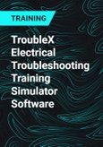 TroubleX Electrical Troubleshooting Training Simulator Software- Product Image