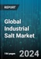 Global Industrial Salt Market by Type (Brine, Rock Evaporated Salt, Solar Salt), Application (Chemical Processing, Food Processing, Road De-icing) - Forecast 2024-2030 - Product Image