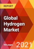 Global Hydrogen Market, By Technology, By Application, By Delivery Mode, By Region, Estimation & Forecast, 2017 - 2027- Product Image