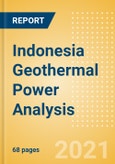 Indonesia Geothermal Power Analysis - Market Outlook to 2030, Update 2021- Product Image