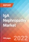 IgA Nephropathy (IgAN) - Market Insight, Epidemiology and Market Forecast -2032 - Product Image