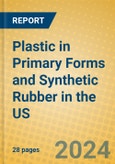 Plastic in Primary Forms and Synthetic Rubber in the US- Product Image