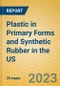 Plastic in Primary Forms and Synthetic Rubber in the US - Product Image