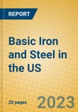 Basic Iron and Steel in the US- Product Image