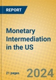 Monetary Intermediation in the US- Product Image