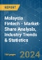 Malaysia Fintech - Market Share Analysis, Industry Trends & Statistics, Growth Forecasts 2020 - 2029 - Product Image