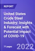 United States Crude Steel Industry: Insights & Forecast with Potential Impact of COVID-19 (2022-2026)- Product Image