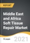 Middle East and Africa Soft Tissue Repair Market 2021-2028 - Product Thumbnail Image