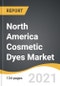 North America Cosmetic Dyes Market 2021-2028 - Product Thumbnail Image