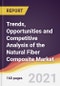 Trends, Opportunities and Competitive Analysis of the Natural Fiber Composite Market - Product Thumbnail Image