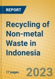 Recycling of Non-metal Waste in Indonesia: ISIC 372- Product Image