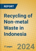 Recycling of Non-metal Waste in Indonesia: ISIC 372- Product Image