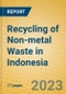 Recycling of Non-metal Waste in Indonesia: ISIC 372 - Product Image