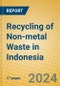 Recycling of Non-metal Waste in Indonesia: ISIC 372 - Product Image