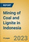 Mining of Coal and Lignite in Indonesia: ISIC 10 - Product Image