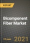 Bicomponent Fiber Market Review 2021 and Strategic Plan for 2022 - Insights, Trends, Competition, Growth Opportunities, Market Size, Market Share Data and Analysis Outlook to 2028 - Product Image