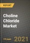 Choline Chloride Market Review 2021 and Strategic Plan for 2022 - Insights, Trends, Competition, Growth Opportunities, Market Size, Market Share Data and Analysis Outlook to 2028 - Product Image