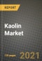 Kaolin Market Review 2021 and Strategic Plan for 2022 - Insights, Trends, Competition, Growth Opportunities, Market Size, Market Share Data and Analysis Outlook to 2028 - Product Image