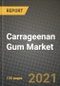 Carrageenan Gum Market Review 2021 and Strategic Plan for 2022 - Insights, Trends, Competition, Growth Opportunities, Market Size, Market Share Data and Analysis Outlook to 2028 - Product Image