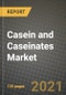 Casein and Caseinates Market Review 2021 and Strategic Plan for 2022 - Insights, Trends, Competition, Growth Opportunities, Market Size, Market Share Data and Analysis Outlook to 2028 - Product Image