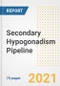 Secondary Hypogonadism Pipeline Drugs and Companies, 2021- Phase, Mechanism of Action, Route, Licensing/Collaboration, Pre-clinical and Clinical Trials - Product Thumbnail Image